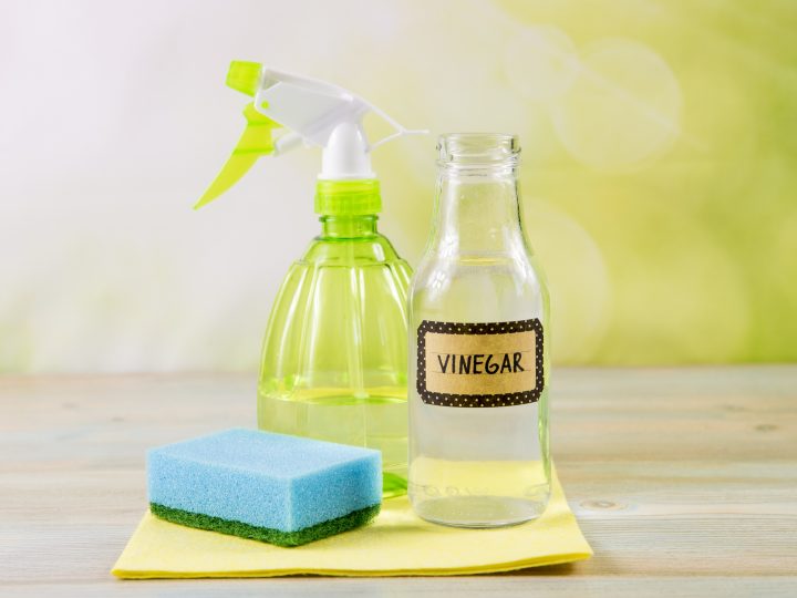 Discover the Versatility of Vinegar: A Natural Cleaning Powerhouse | Toronto cleaning service tips
